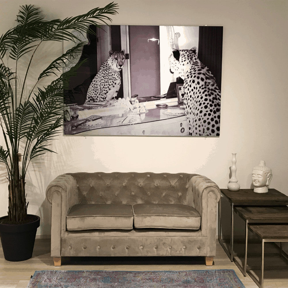 Chesterfield Bank Malibu - Velours Beige met gecapitonneerde rugleuning en massief beukenhouten poten, naast een plant in een stijlvolle interieursetting.