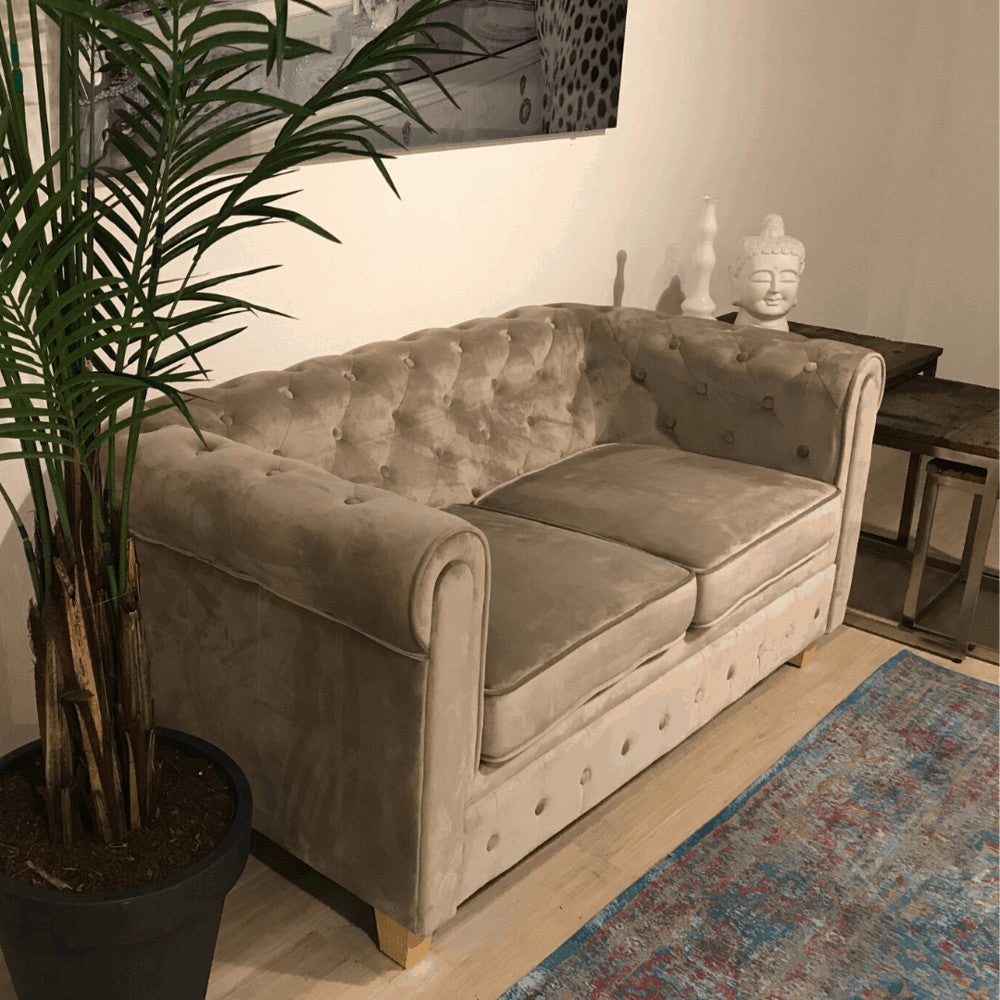 Chesterfield Bank Malibu - Velours Beige in stijlvolle woonkamer, naast plant en vloerkleed, met gecapitonneerde rugleuning en massief beukenhouten poten.