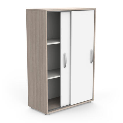 Kast Met 2 Schuifdeuren, eigentijds en compact, met verstelbare planken en schuifdeuren voor optimale opslag. Perfect voor elke interieurstijl. Montage vereist.