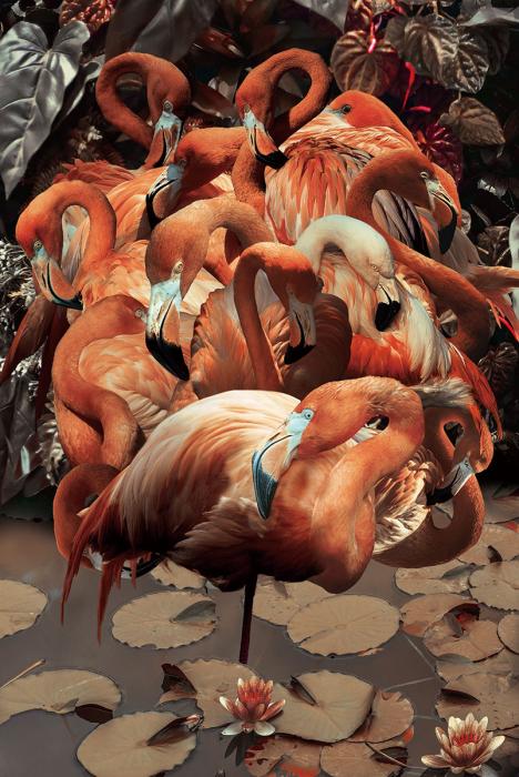 Glasschilderij 120x80cm Groep pelikanen
