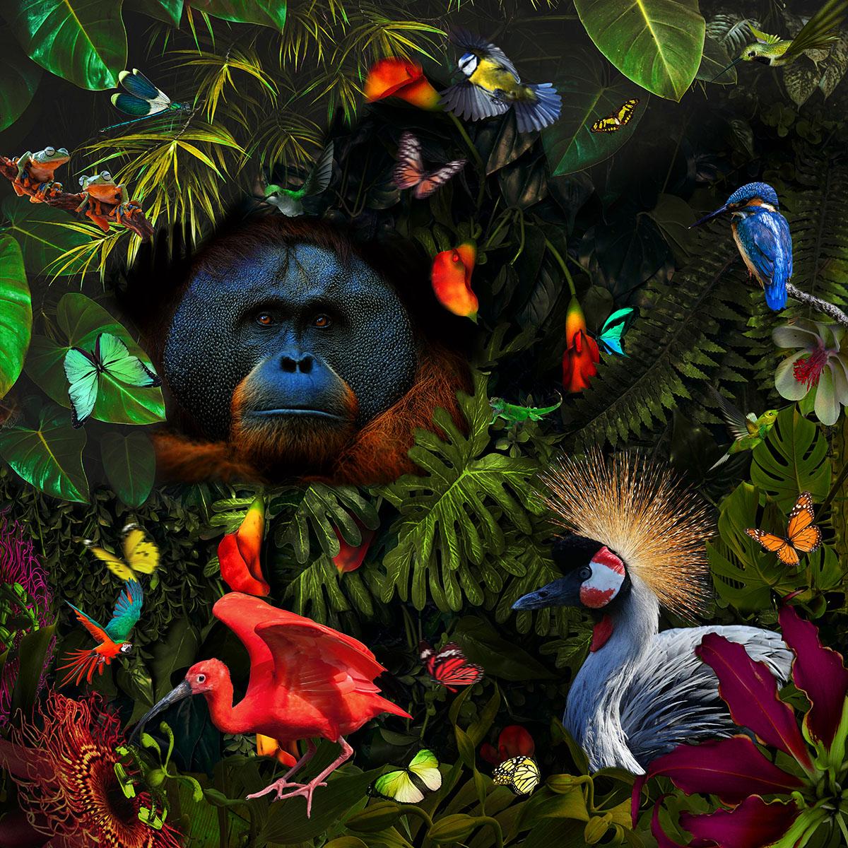 Glasschilderij 80x80cm Tropische jungle dieren II