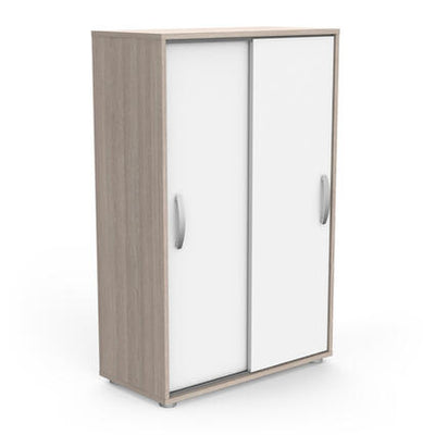 Kast Met 2 Schuifdeuren, wit met zilverkleurige handgrepen, biedt optimale opslag met 2 verstelbare planken. Geschikt voor elke interieurstijl, vereist montage.