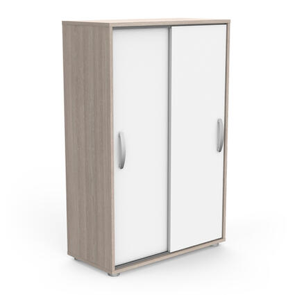 Kast Met 2 Schuifdeuren, wit met zilverkleurige handgrepen, biedt optimale opslag met 2 verstelbare planken. Geschikt voor elke interieurstijl, vereist montage.
