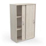 Kast Met 2 Schuifdeuren met verstelbare planken, eigentijds ontwerp, ideaal voor compacte ruimtes. Perfect voor diverse interieurs, biedt optimale opslagcapaciteit. Eenvoudig te monteren.