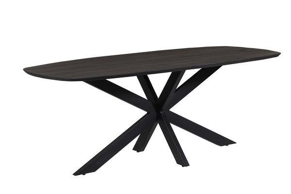 Tafel 'Isabella' 200 cm, ovaal zwart mango hout, met metalen spider-poot. Elegant design en stevige constructie, ideaal voor moderne interieurs.